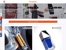Tablet Screenshot of petagadget.com